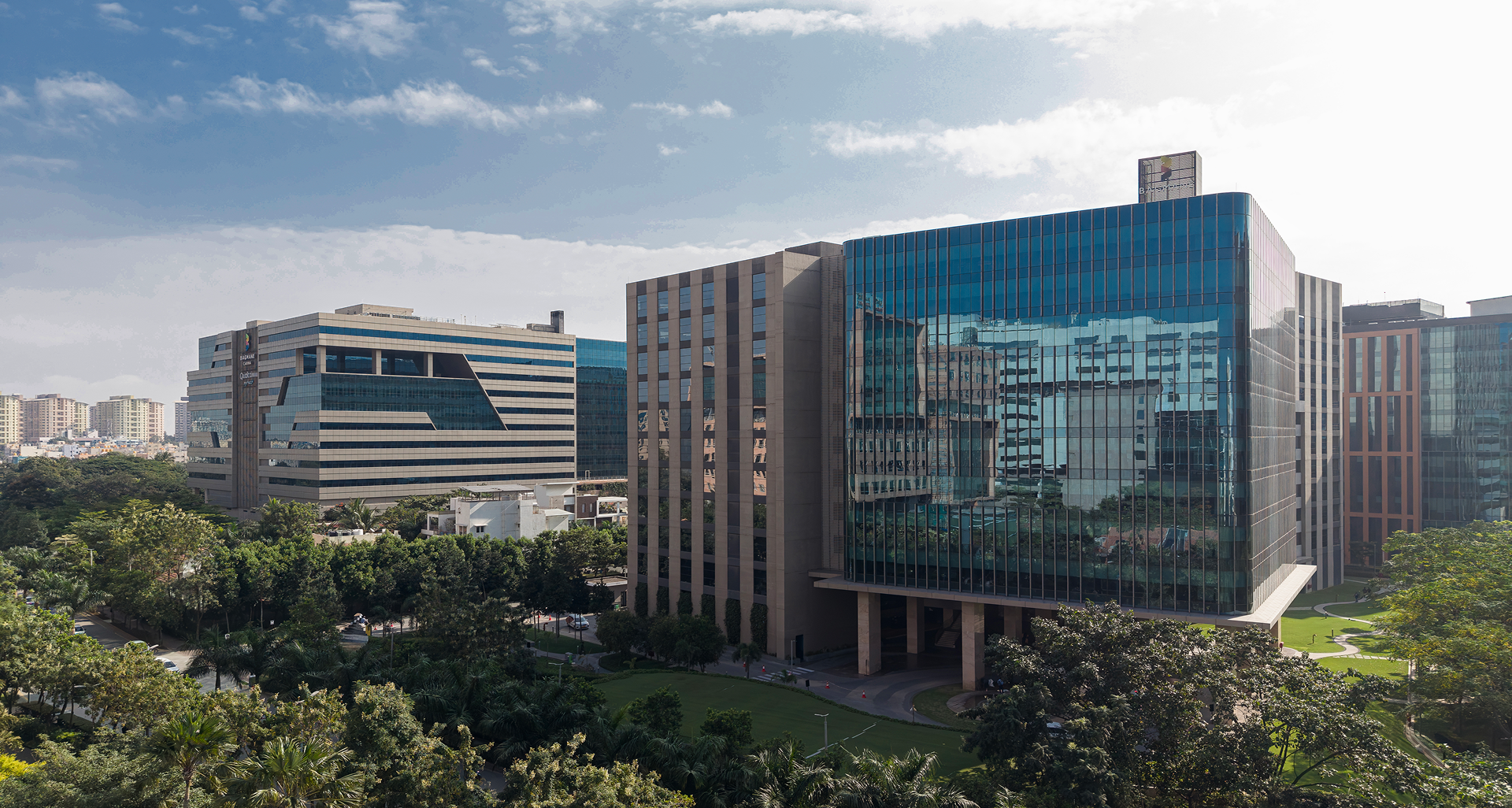 Green-Nature-picture