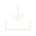 Download Icon